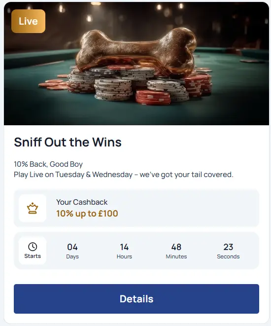 Spin Dog Casino Bonus with Cashback