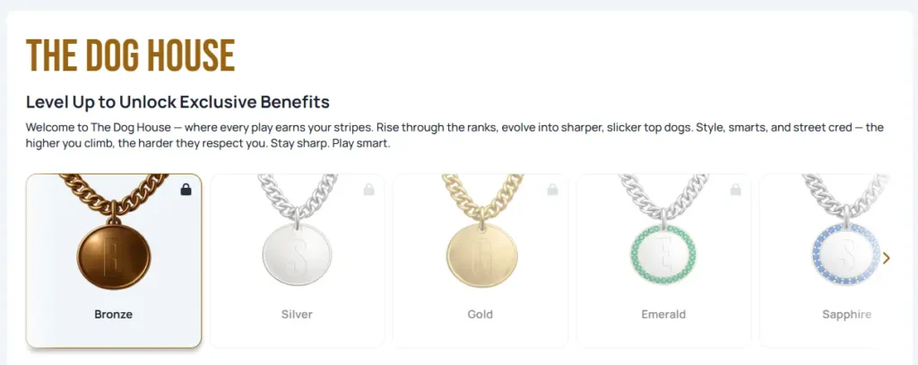 VIP Program at Spin Dog